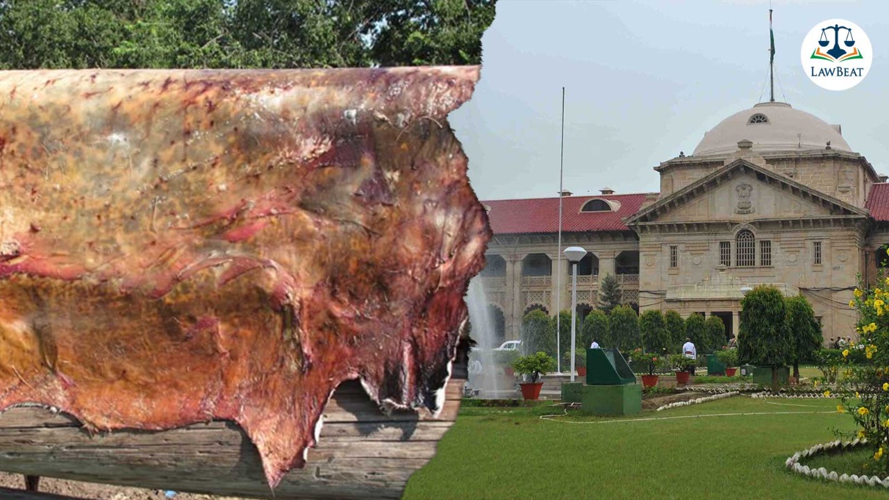 Transportation of cow skin leather is not prohibited u/S 5A of Cow Slaughter Act: Allahabad High Court